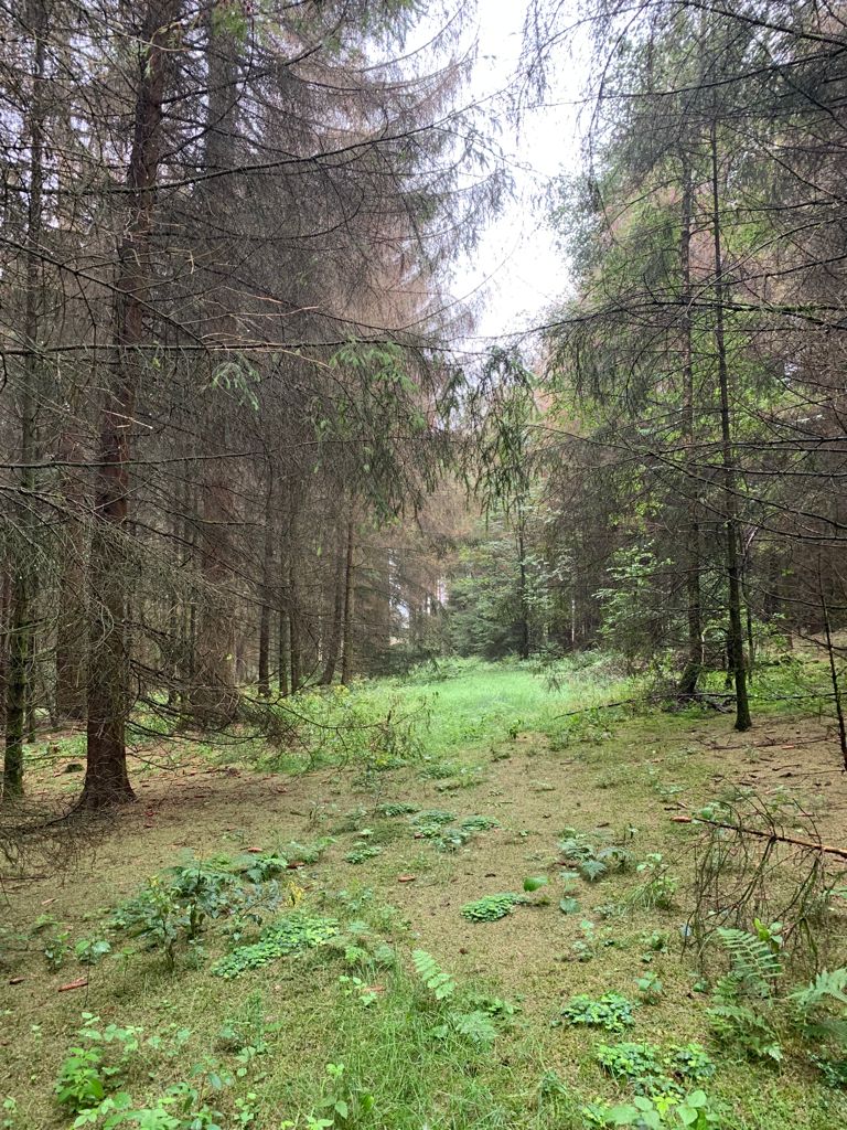 Dreiherrenstein