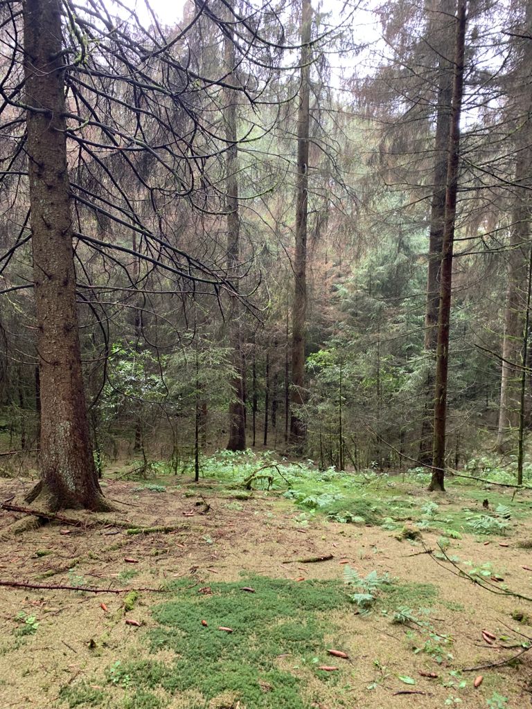 Dreiherrenstein