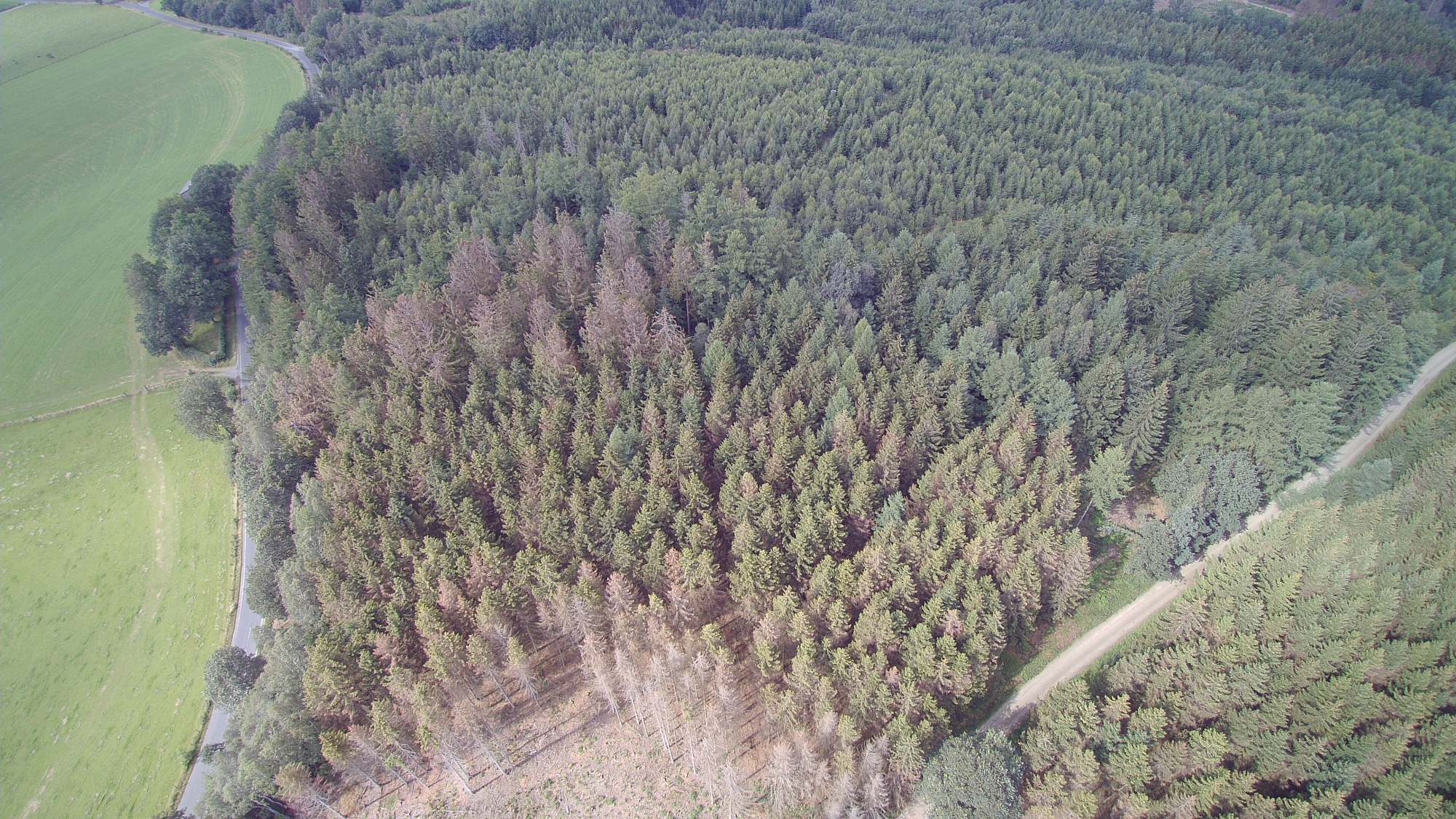 Dreiherrenstein Juli 2021