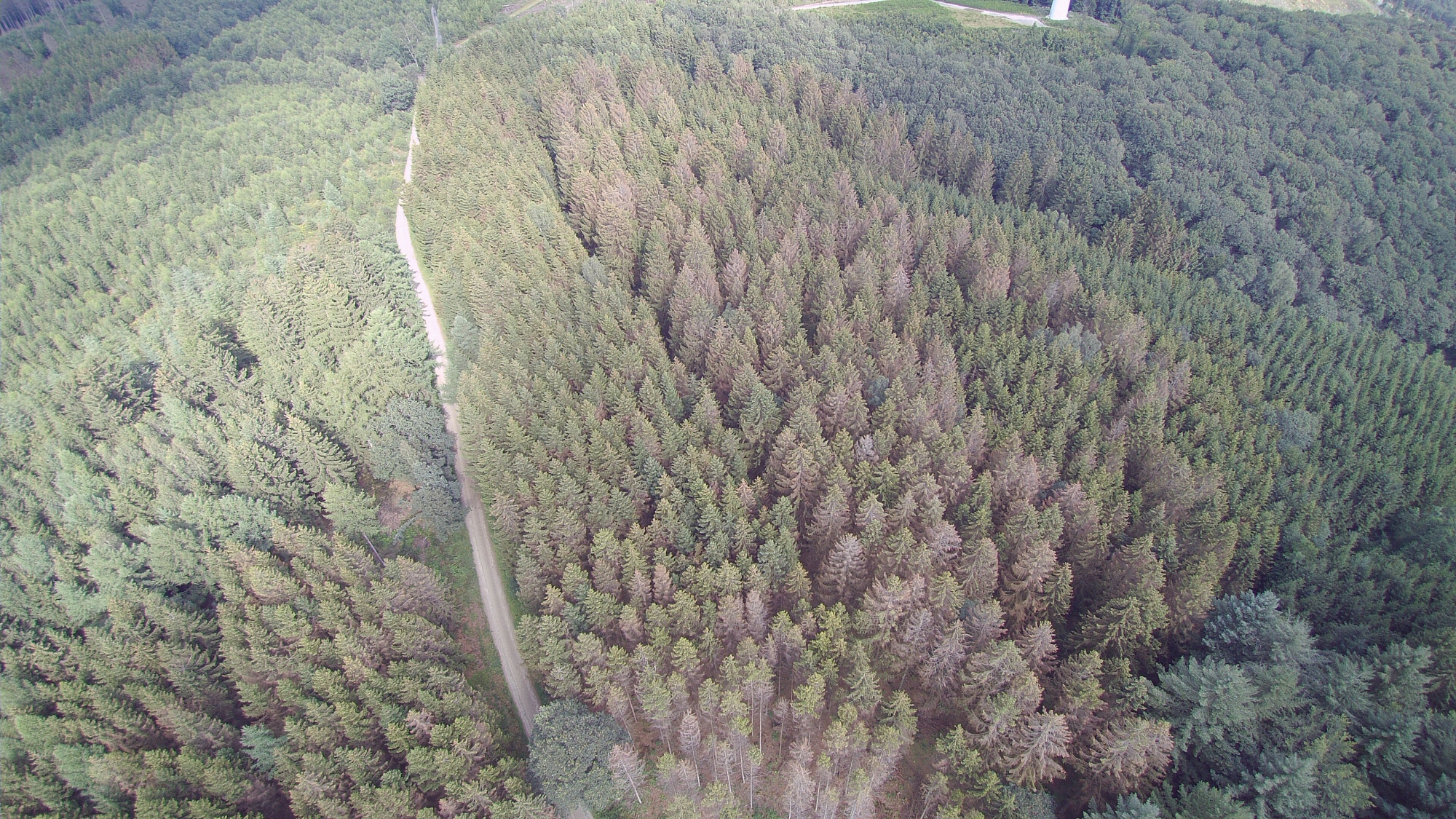 Dreiherrenstein Juli 2021