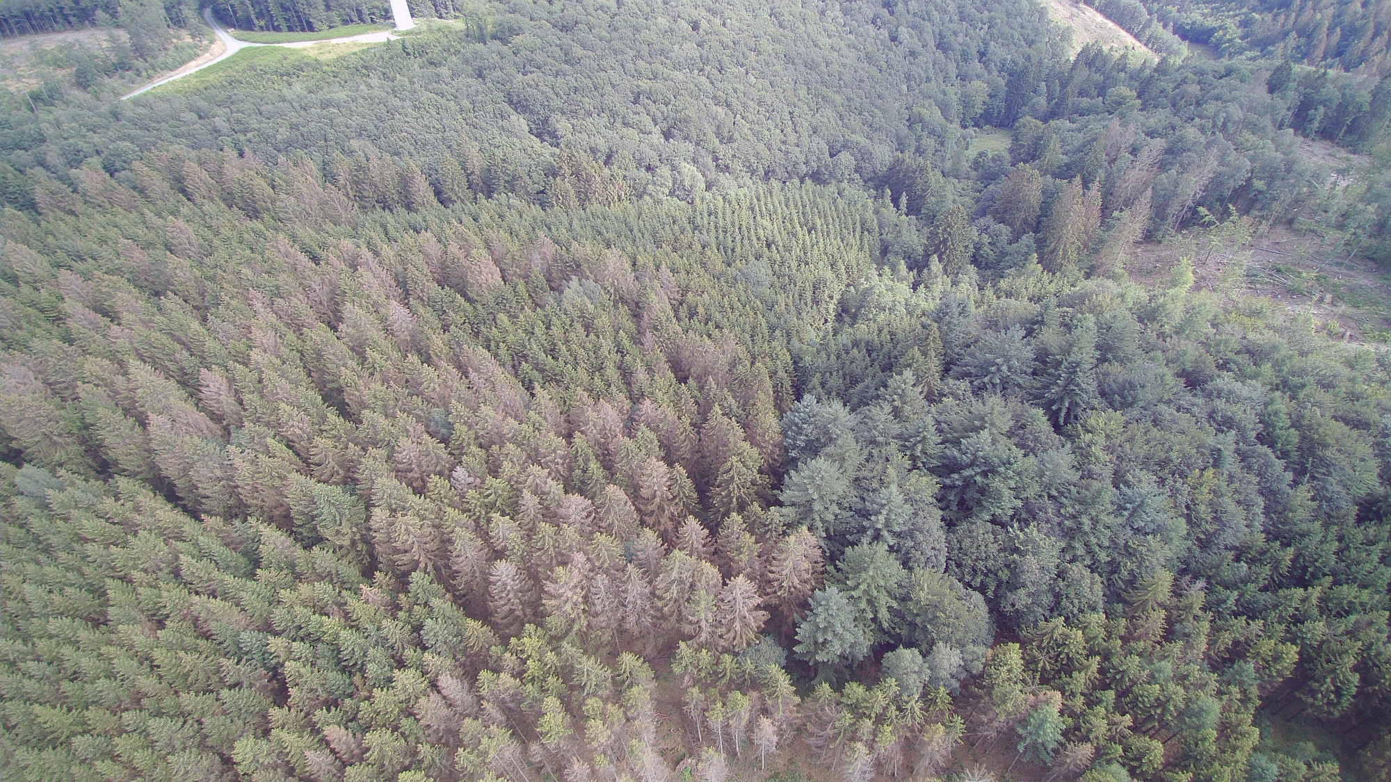 Dreiherrenstein Juli 2021