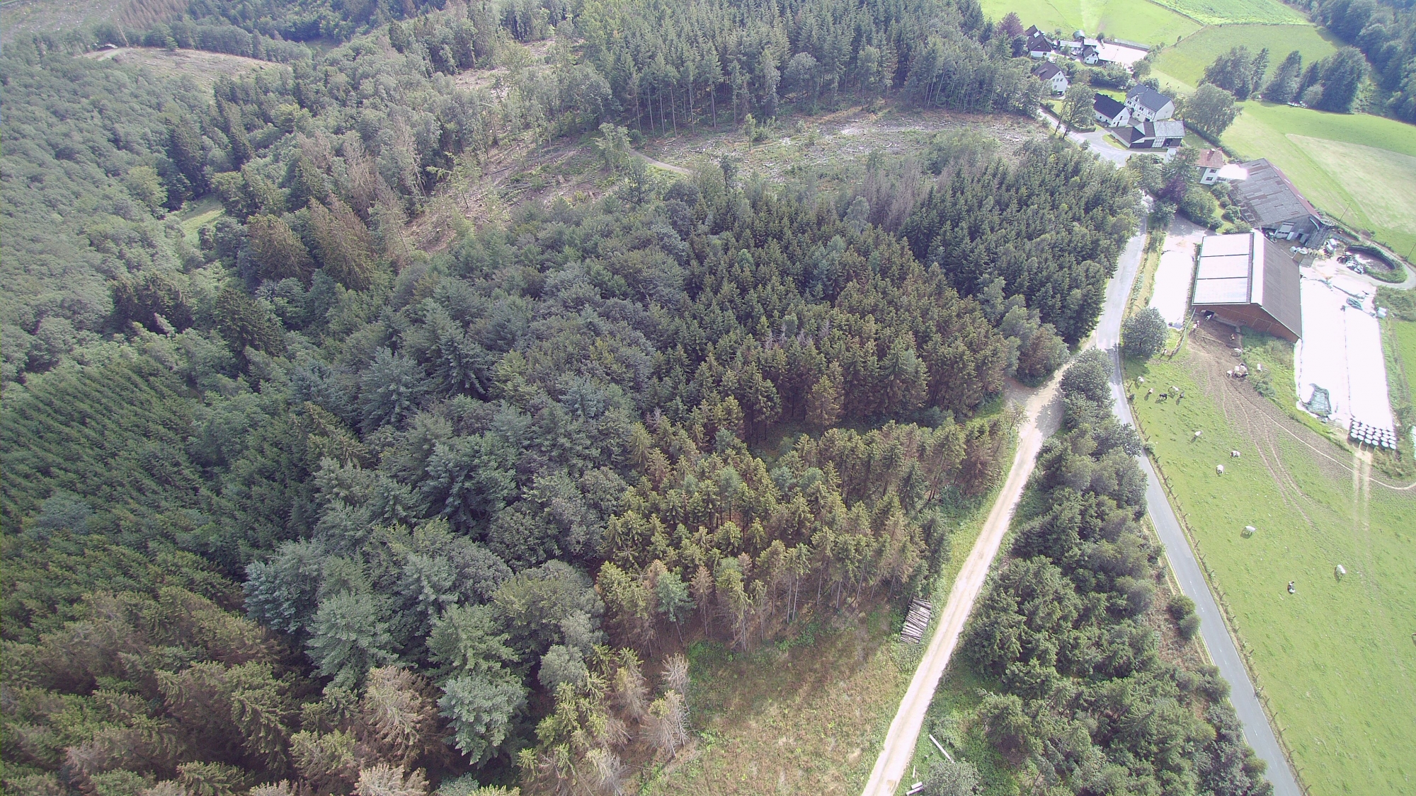 Dreiherrenstein Juli 2021