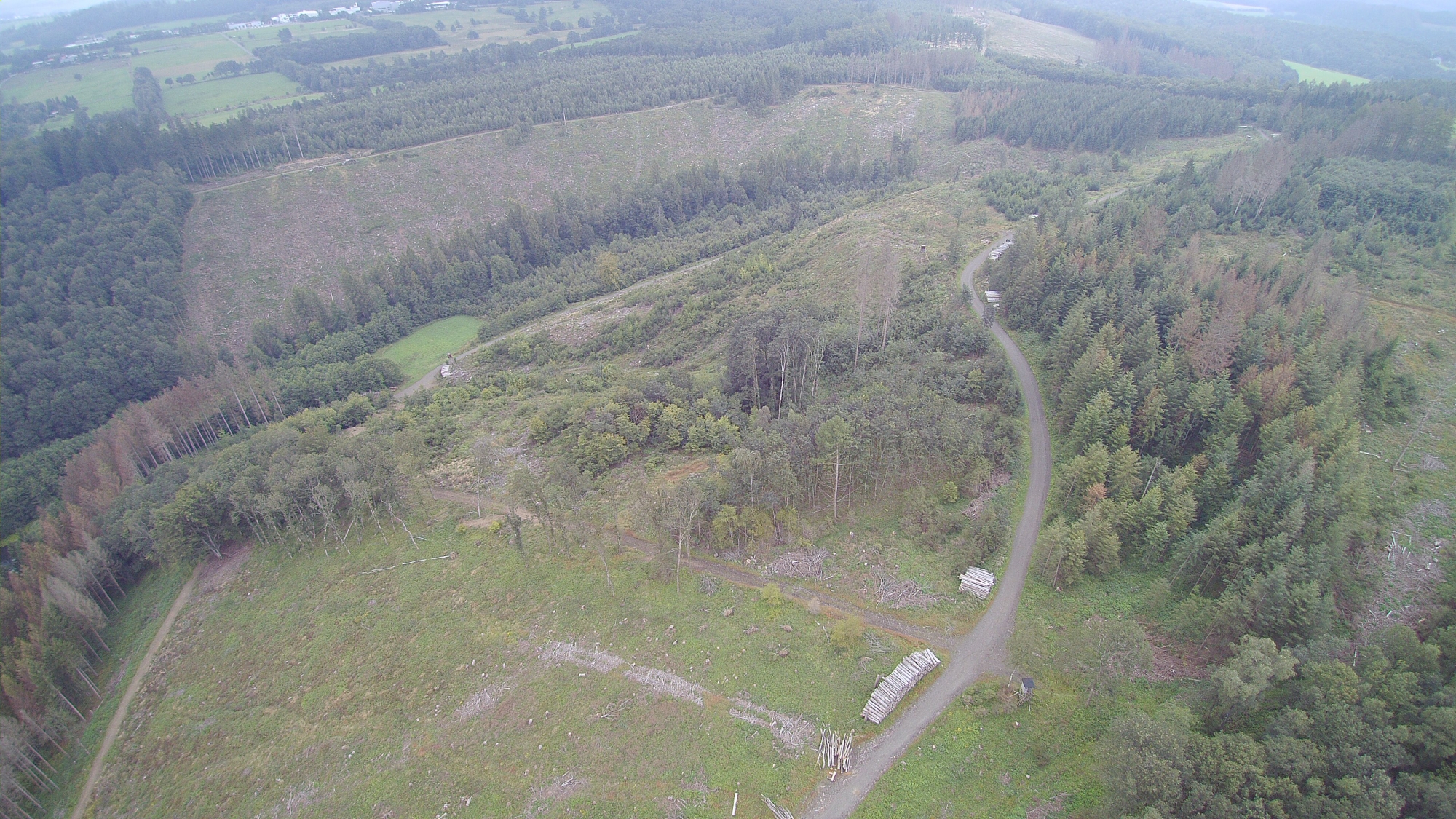 Stockwiese Autobahn August 2021