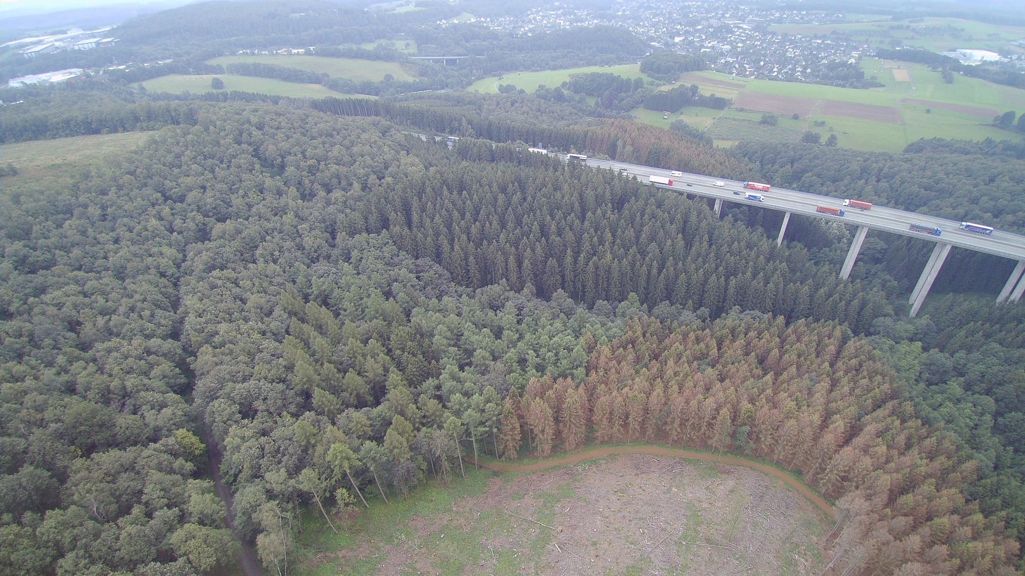 Stockwiese Autobahn August 2021