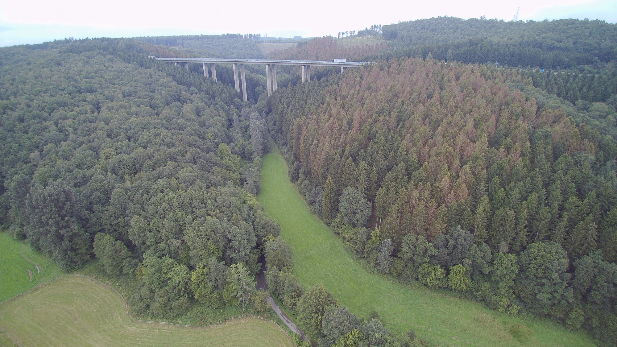 Stockwiese Autobahn August 2021