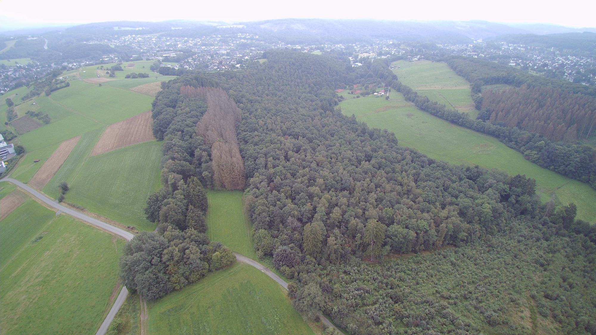 Zogbräm Pfaffenseifen August 2021