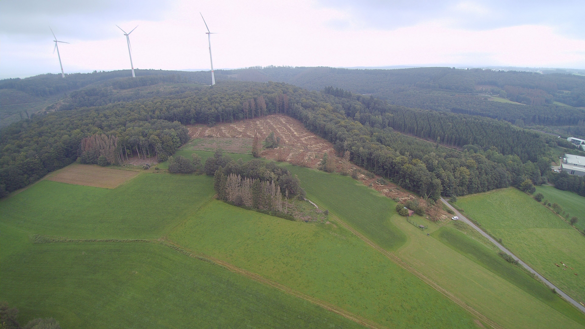 Zogbräm Pfaffenseifen August 2021