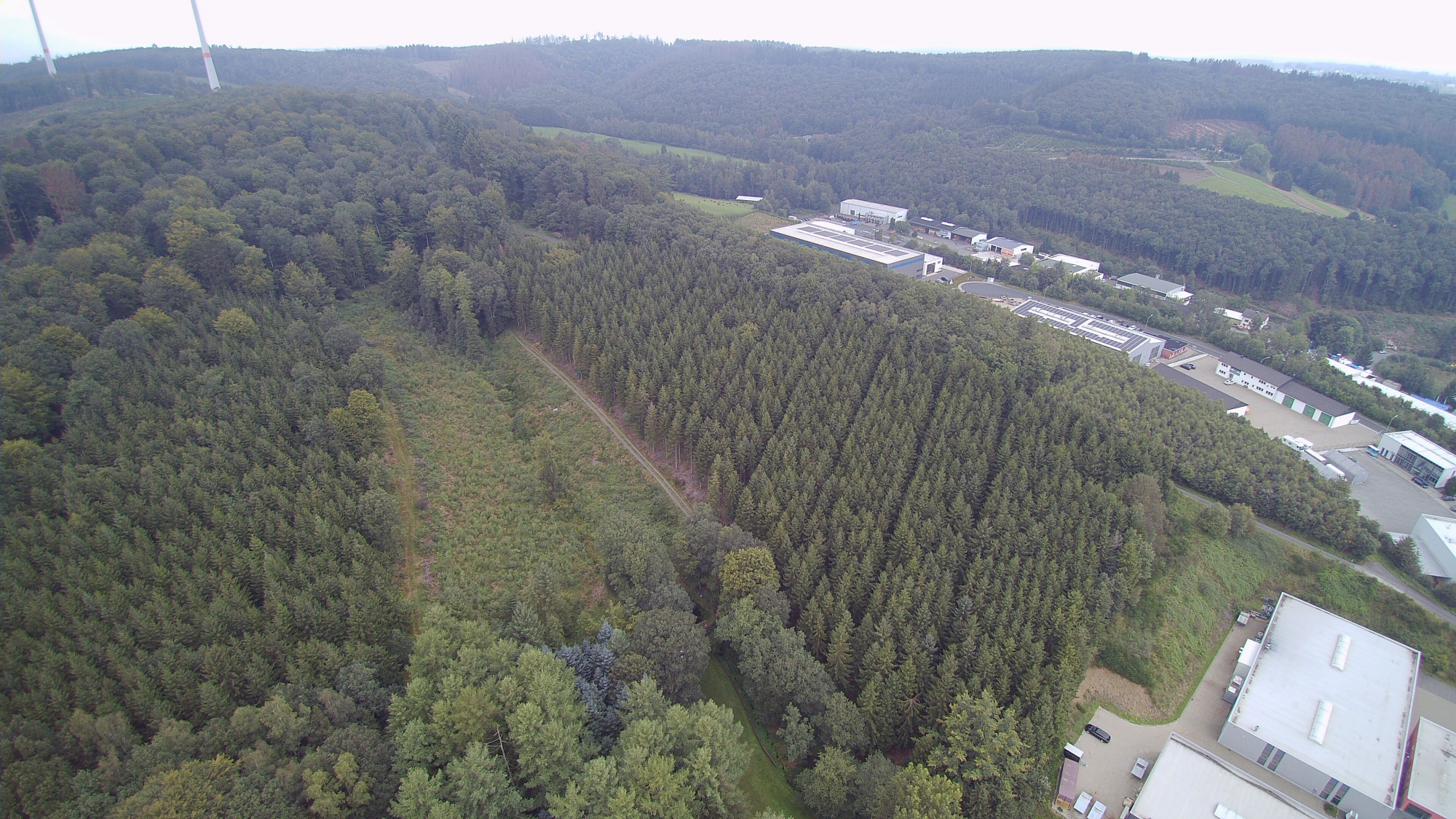 Zogbräm Pfaffenseifen August 2021