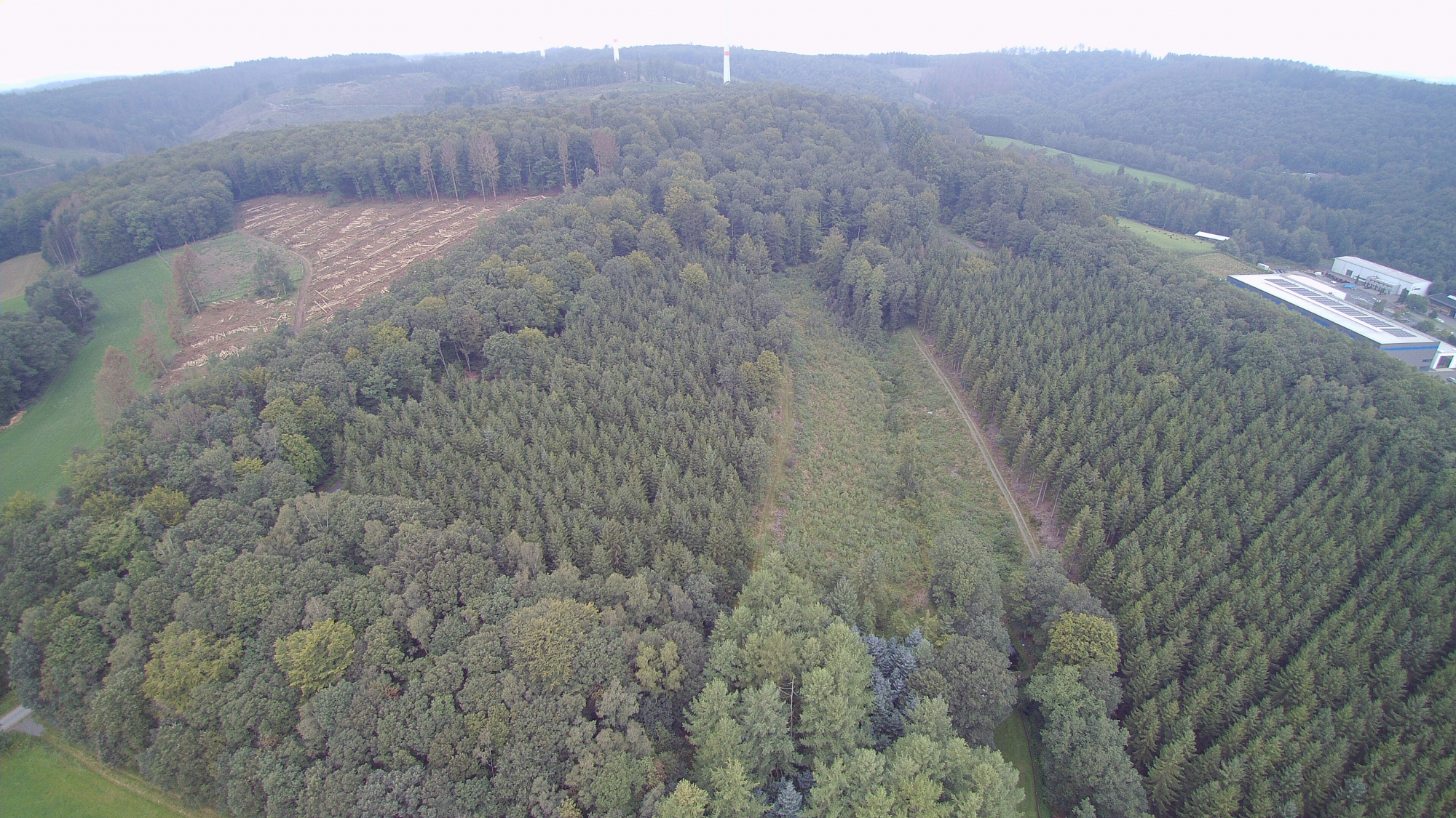 Zogbräm Pfaffenseifen August 2021